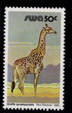 [Wild Mammals, タイプ HW]