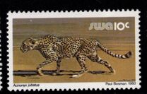 [Wild Mammals, タイプ HR]