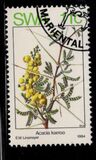 [Acacias in Spring, نوع KQ]