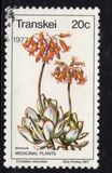 [Medicinal Plants, type AB]