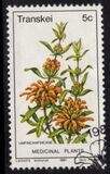 [Medicinal Plants, tip CK]