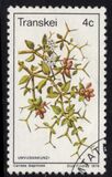 [Edible Wild Fruits, typ AP]