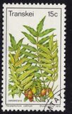 [Edible Wild Fruits, typ AR]
