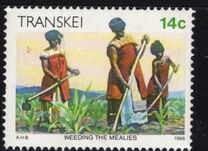 [Xhosa Culture, 类型 GC]