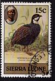 [Pájaros., tipo FF]