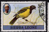 [Birds, प्रकार FB]