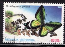 [Opening Ceremony of the Insectarium in Jakarta, Вид BDL]
