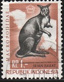 [Flora & Fauna, tegund L]