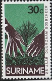 [The 25th Anniversary of Surinam Forestry Commission, タイプ ADV]