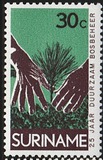 [The 25th Anniversary of Surinam Forestry Commission, タイプ ADV]