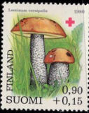[Red Cross charity - Edible mushrooms, Scrivi WB]