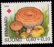 [Red Cross charity - Edible mushrooms, Scrivi WA]