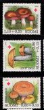 [Red Cross charity - Edible mushrooms, Scrivi WA]