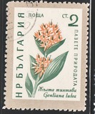 [Flowers, type AJU]