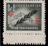 [The Fight Against Tuberculosis, Вид FP]
