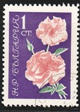 [Roses, тып APA]