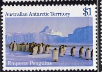 [Antarctic Scenes, වර්ගය BT]