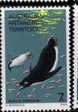 [Marine Life and Aircraft in the Service of Antarctic Research, 类型 Y]
