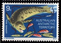[Marine Life and Aircraft in the Service of Antarctic Research, 类型 AA]