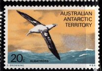 [Marine Life and Aircraft in the Service of Antarctic Research, 类型 AC]