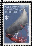 [Marine Life and Aircraft in the Service of Antarctic Research, 类型 AH]