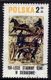 [The 150th Anniversary of Horse Riding in Sieraków, type CGU]
