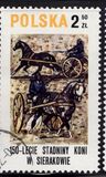 [The 150th Anniversary of Horse Riding in Sieraków, タイプ CGU]
