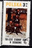 [The 150th Anniversary of Horse Riding in Sieraków, タイプ CGU]