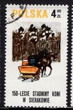 [The 150th Anniversary of Horse Riding in Sieraków, タイプ CGW]
