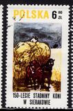 [The 150th Anniversary of Horse Riding in Sieraków, タイプ CGX]