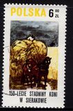 [The 150th Anniversary of Horse Riding in Sieraków, タイプ CGX]