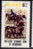 [The 150th Anniversary of Horse Riding in Sieraków, タイプ CGX]