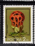 [Protected Poisonous Mushrooms, タイプ CHV]