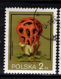[Protected Poisonous Mushrooms, タイプ CHV]