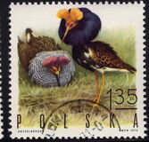 [Bird Game, වර්ගය BGX]
