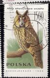 [Owls, typ DEC]