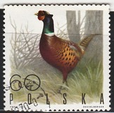 [Bird Game, 유형 BGV]