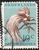 [Bird of Paradise, typ F]