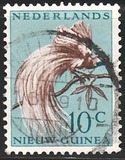 [Bird of Paradise, typ F]