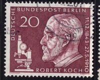 [In Memorial of Robert Koch, 類型 DE]
