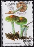 [Fungi, tyyppi ABA]