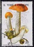 [Fungi, tyyppi ABC]