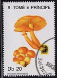 [Fungi, tyyppi ABB]