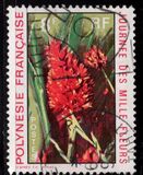 [Day of a Thousand Flowers, प्रकार DV]