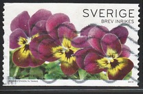 [Flowers - Pansies, type CGM]