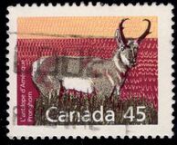 [Canadian Mammals, jenis AOI]