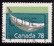 [Canadian Mammals, jenis AOK]