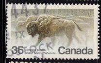 [Endangered Wildlife, type AAE]