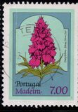 [Flowers - Fuana, type AL]