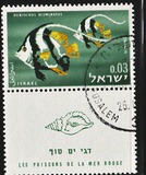 [Red Sea Fish, type IK]
